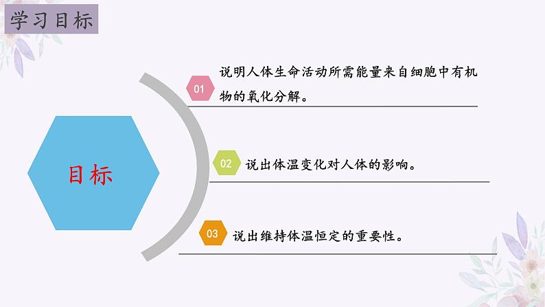 2024年七年级生物下册课件苏教版-10.5 人体能量的供给02