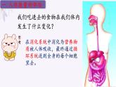 2024年七年级生物下册课件苏教版-10.5 人体能量的供给