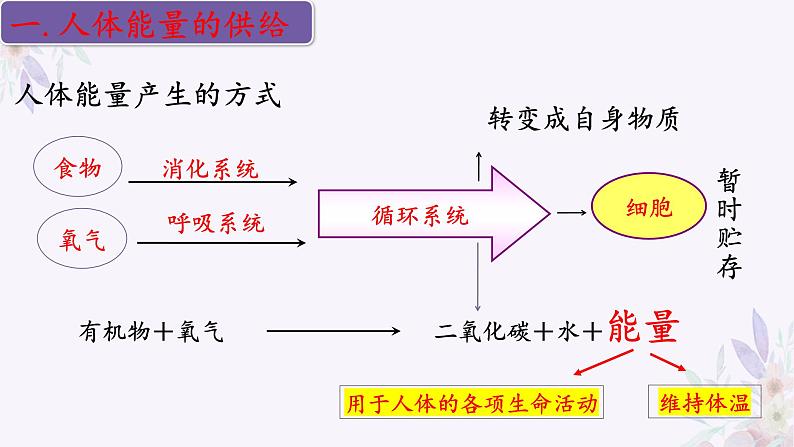 2024年七年级生物下册课件苏教版-10.5 人体能量的供给07