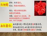 2024年七年级生物下册课件苏教版-第十章 人体内的物质运输和能量供给（复习课件）
