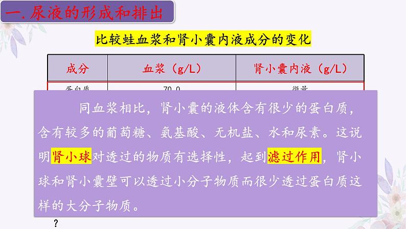 2024年七年级生物下册课件苏教版-11.2 人体废物的排出06