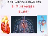 2024年七年级生物下册课件苏教版-10.2 人体的血液循环（第二课时）
