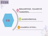 2024年七年级生物下册课件苏教版-10.2 人体的血液循环（第二课时）