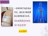 2024年七年级生物下册课件苏教版-10.2 人体的血液循环（第二课时）