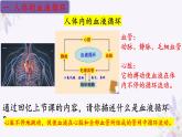2024年七年级生物下册课件苏教版-10.2 人体的血液循环（第二课时）