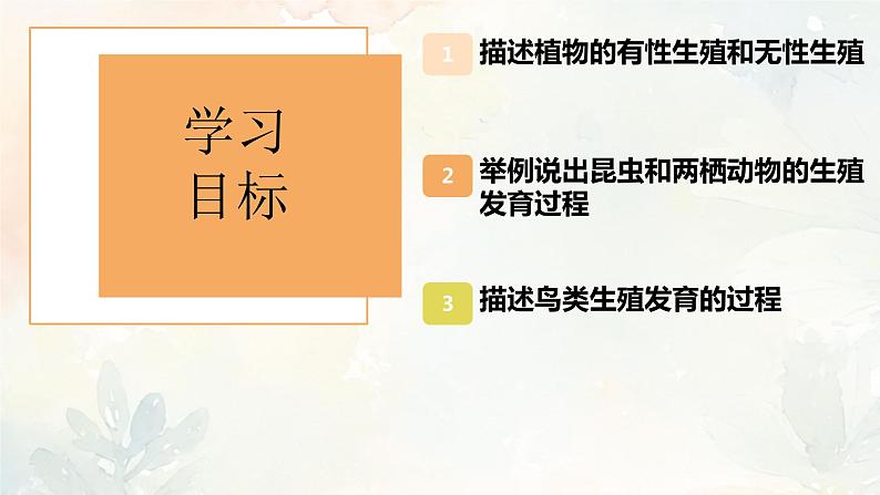 人教版（新课标）八年级生物下册第一章生物的生殖和发育复习课件第2页