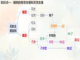 人教版（新課標(biāo)）八年級(jí)生物下冊(cè)第一章生物的生殖和發(fā)育復(fù)習(xí)課件