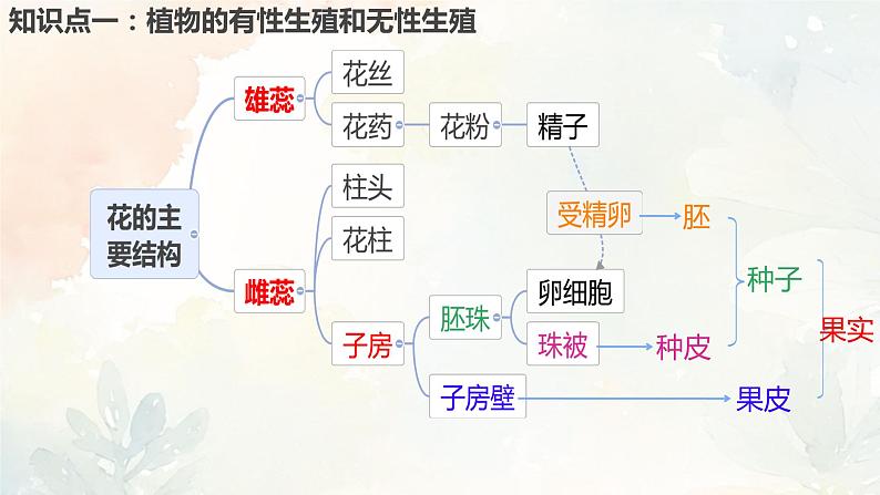 人教版（新课标）八年级生物下册第一章生物的生殖和发育复习课件第4页