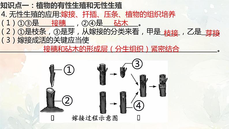 人教版（新课标）八年级生物下册第一章生物的生殖和发育复习课件第6页