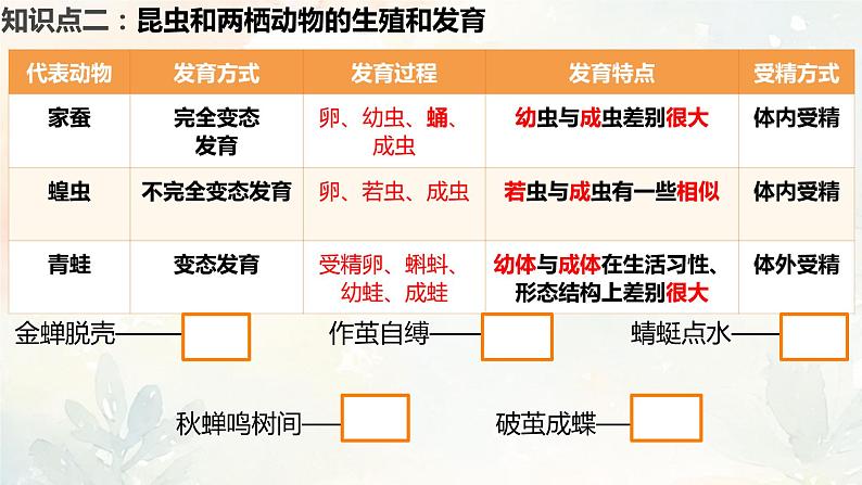 人教版（新课标）八年级生物下册第一章生物的生殖和发育复习课件第8页