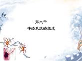 人教版（新课标）七年级生物下册第四单元第六章第二节神经系统的组成课件（内嵌视频）