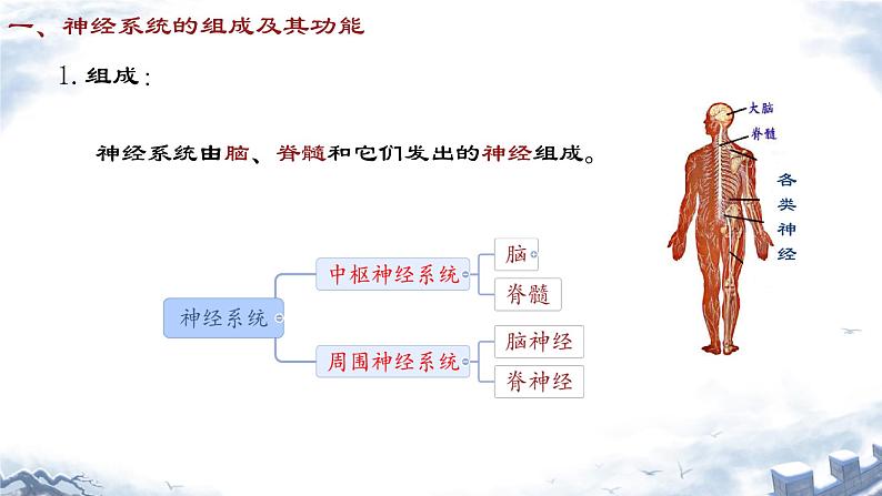 人教版（新课标）七年级生物下册第四单元第六章第二节神经系统的组成课件（内嵌视频）03