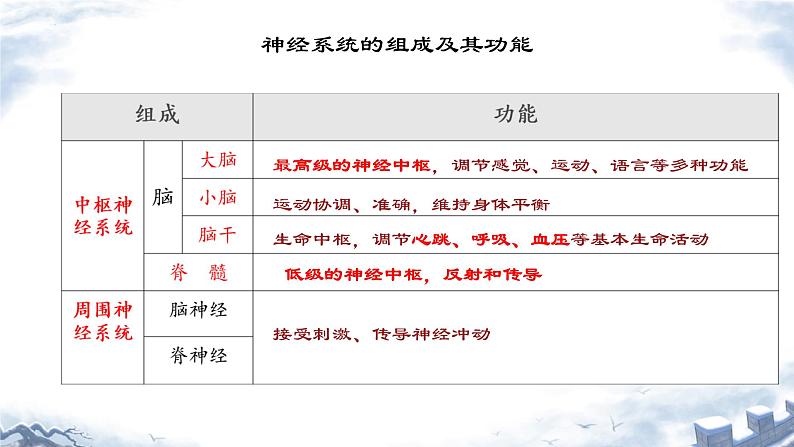 人教版（新课标）七年级生物下册第四单元第六章第二节神经系统的组成课件（内嵌视频）07