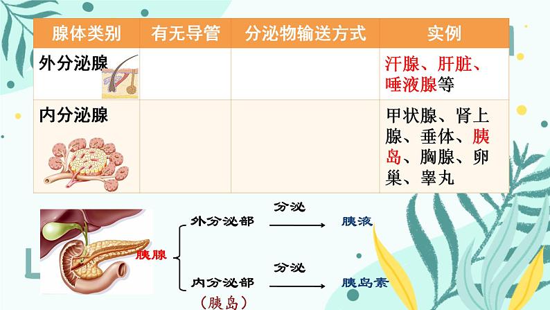 人教版（新课标）七年级生物下册第四单元第六章第一节人体对外界环境的感知课件（内嵌视频）第7页