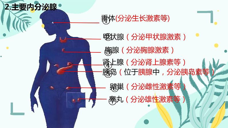 人教版（新课标）七年级生物下册第四单元第六章第一节人体对外界环境的感知课件（内嵌视频）第8页