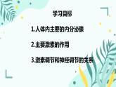 人教版（新课标）七年级生物下册第四单元第六章第四节激素调节课件（内嵌视频）