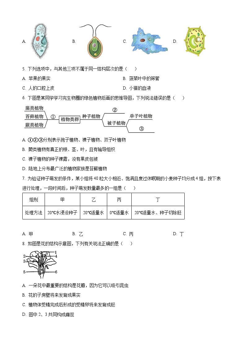 2024年云南省昭通市永善县八年级中考二模生物试题（原卷版+解析版）02