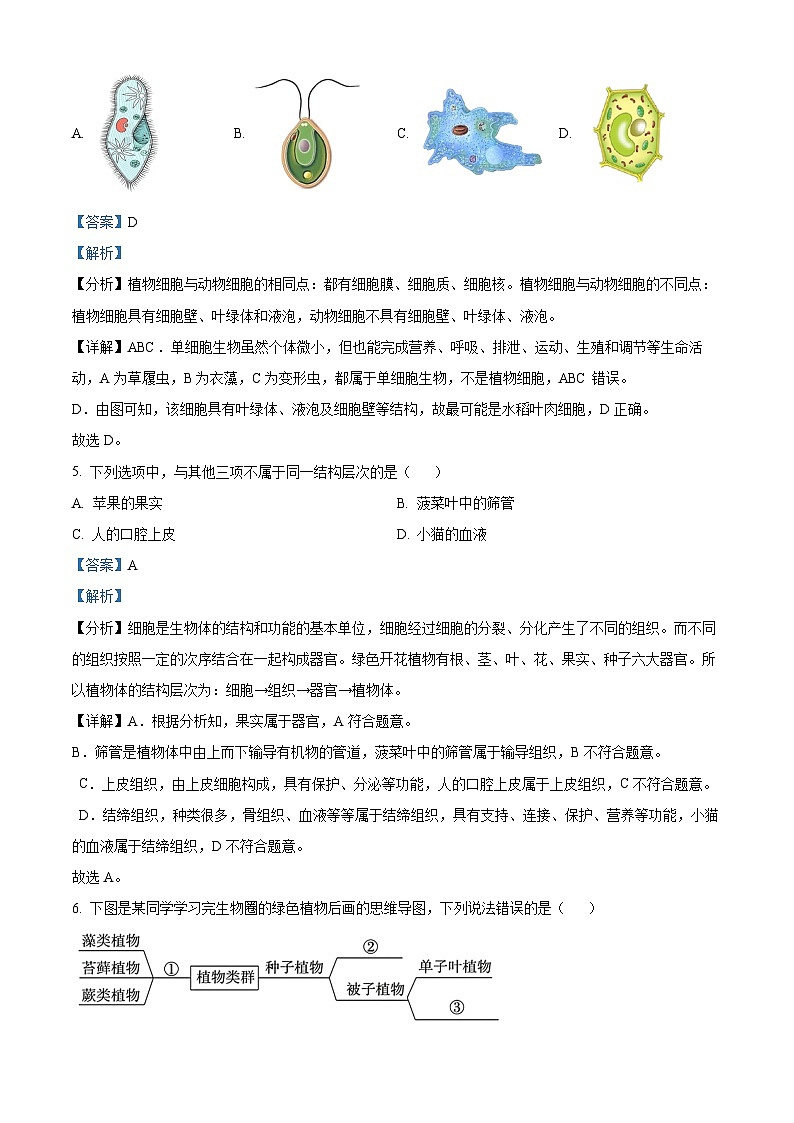 2024年云南省昭通市永善县八年级中考二模生物试题（原卷版+解析版）03
