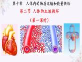 2024年七年级生物下册课件苏教版-10.2 人体的血液循环（第一课时）