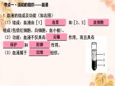 人教版（新课标）七下生物第四单元第四章复习课件