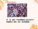 人教版（新课标）七下生物第四单元第四章复习课件