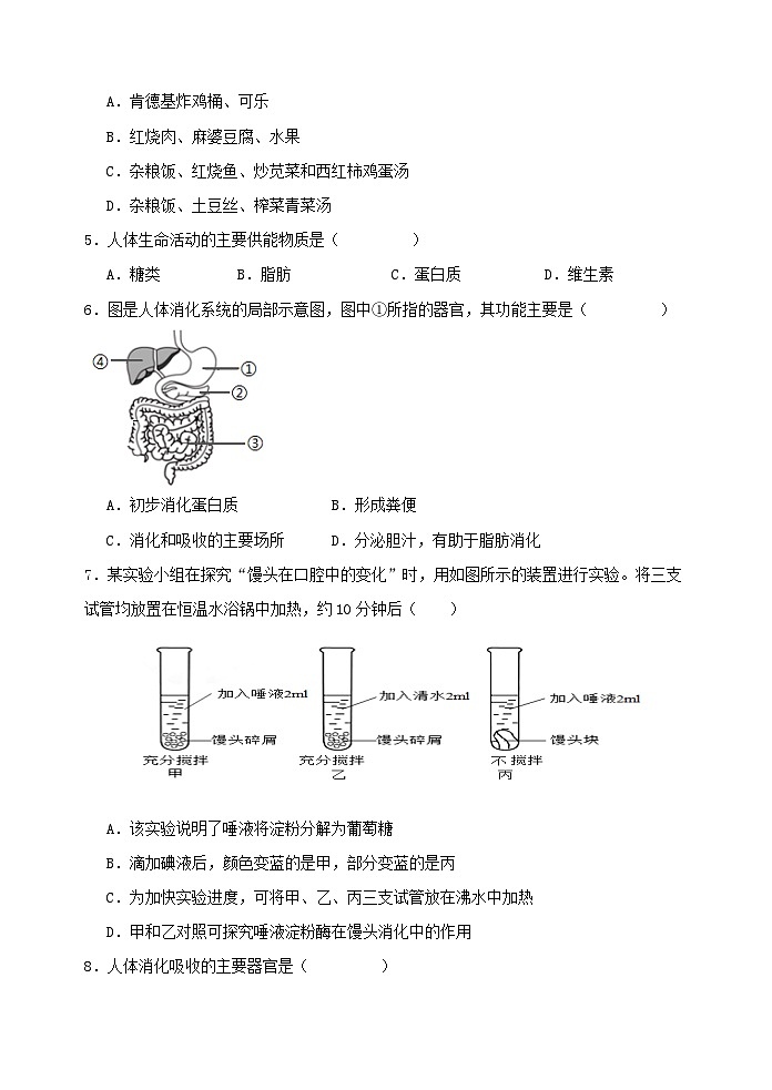 河北省保定市2023-2024学年七年级下学期期生物五月份月考模拟试题+第2页