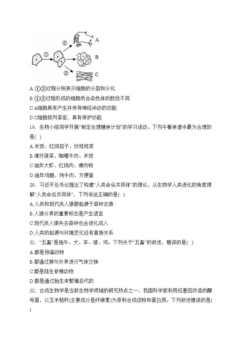 海南省三亚市2024年中考二模生物试卷(含答案)第3页