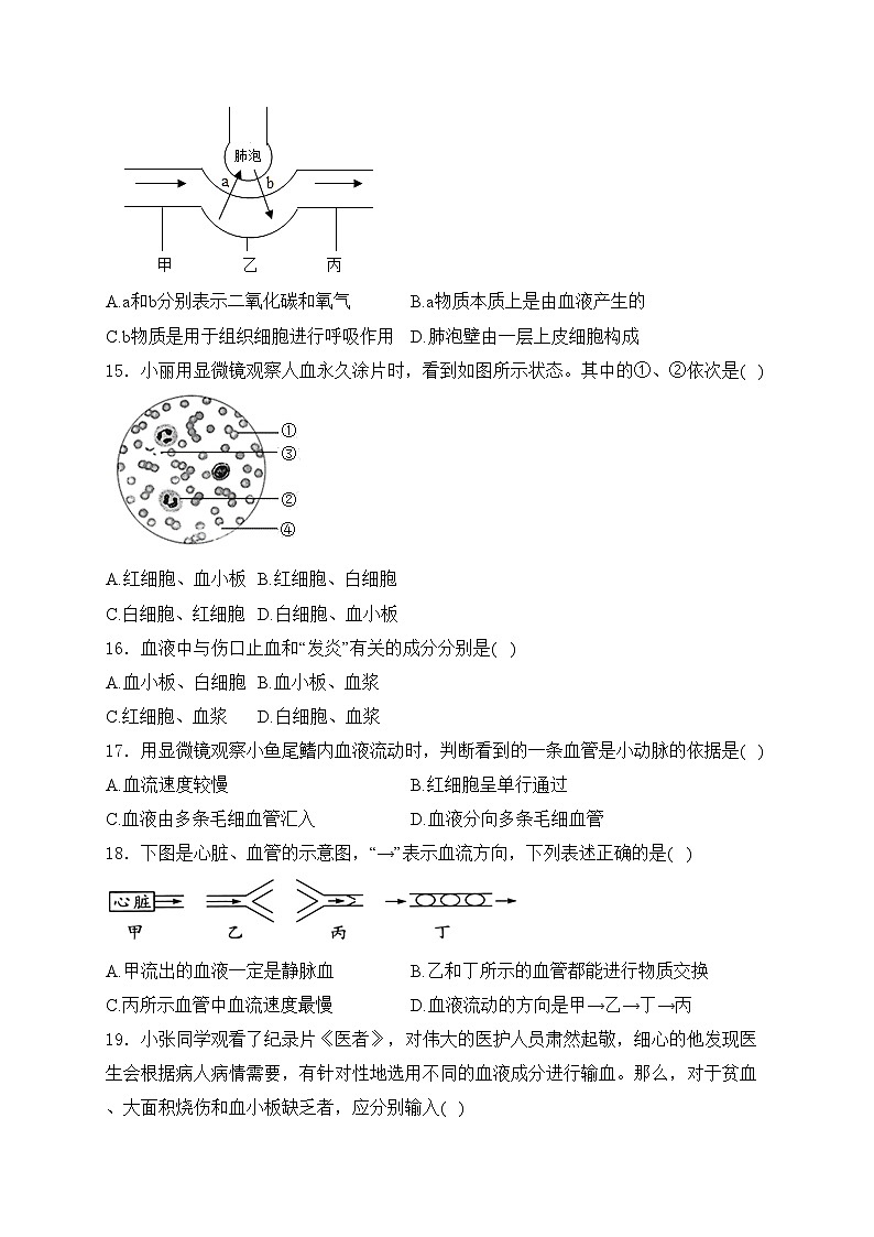 河南省信阳市息县2023-2024学年七年级下学期期中生物试卷(含答案)第3页
