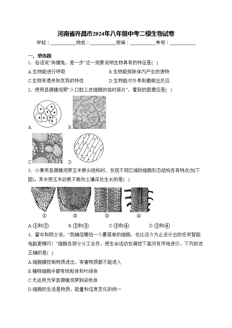 河南省许昌市2024年八年级中考二模生物试卷(含答案)第1页