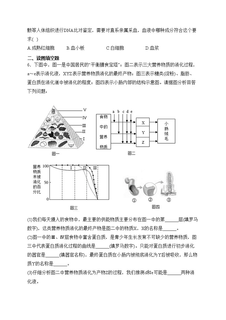 内蒙古鄂尔多斯市第一中学伊金霍洛分校2023-2024学年七年级4月月考生物试卷(含答案)03
