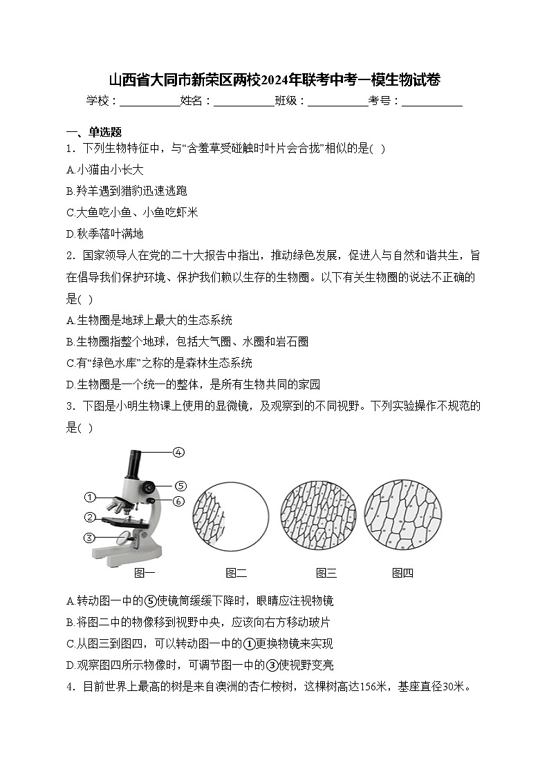 山西省大同市新荣区两校2024年联考中考一模生物试卷(含答案)第1页