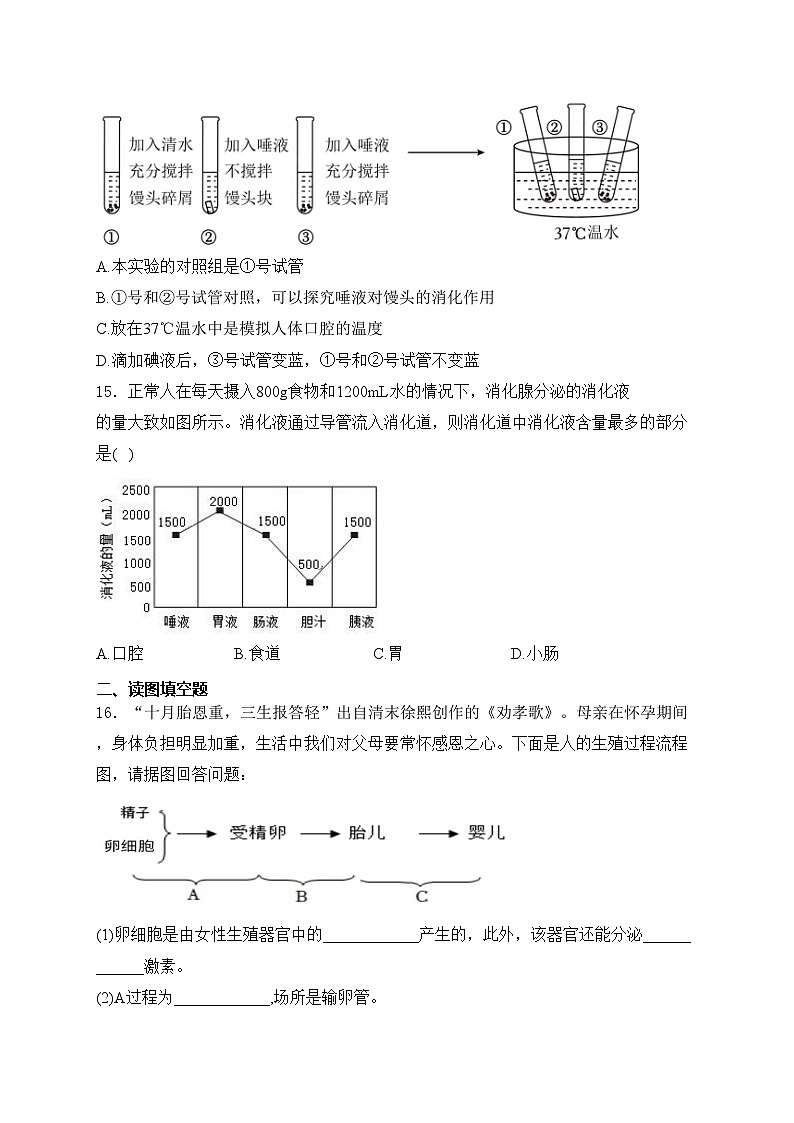 山西省吕梁市交城县2023-2024学年七年级下学期期中考试生物试卷(含答案)03
