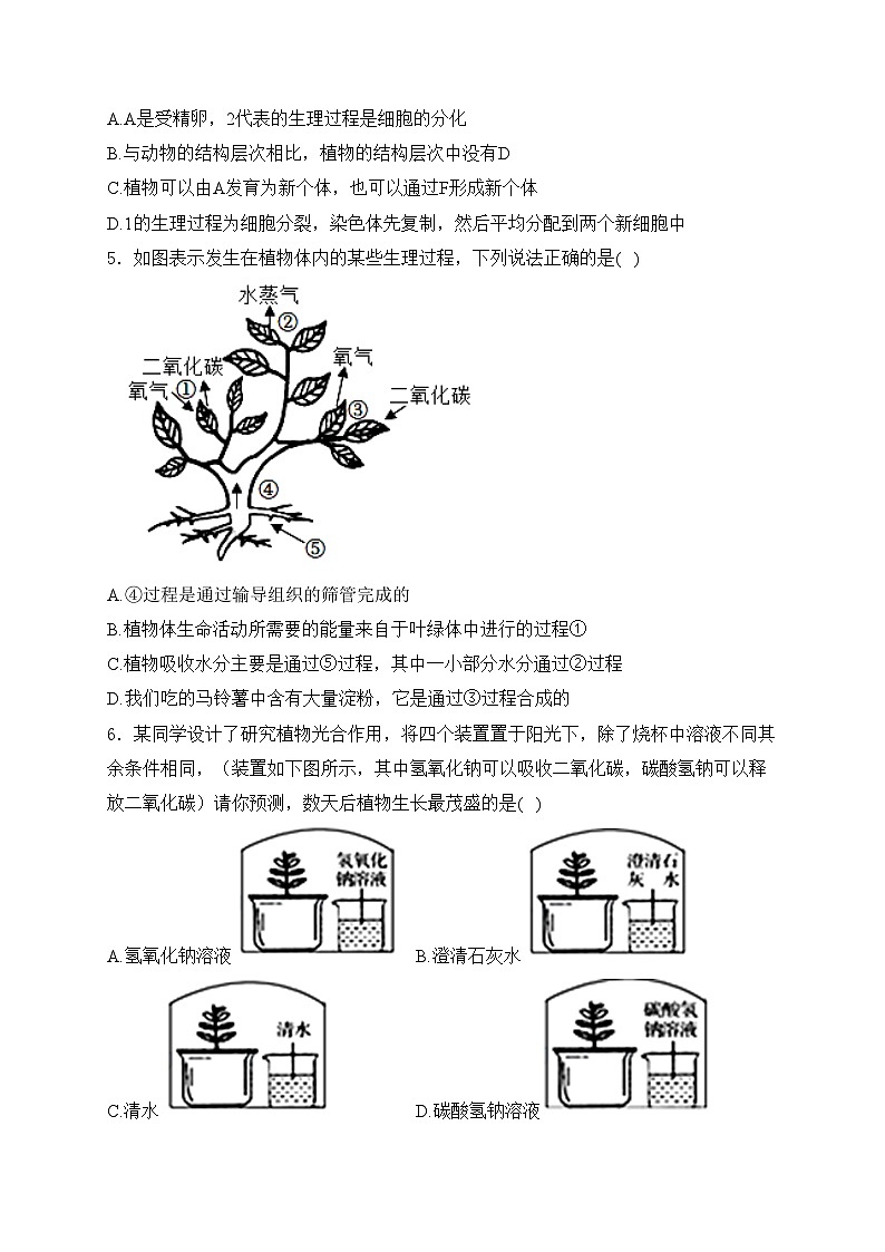 四川省达州中学2024届九年级下学期4月月考生物试卷(含答案)第2页