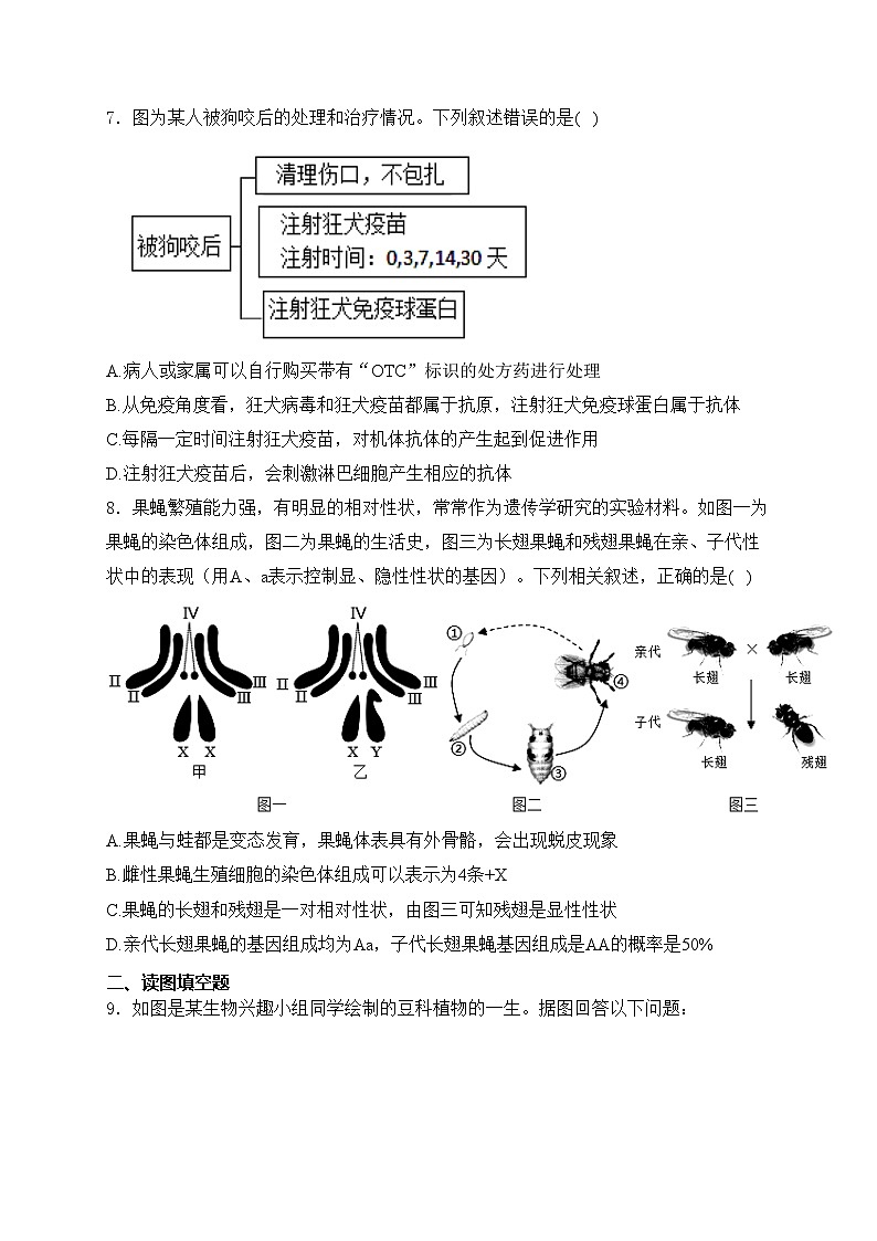 四川省达州中学2024届九年级下学期4月月考生物试卷(含答案)第3页