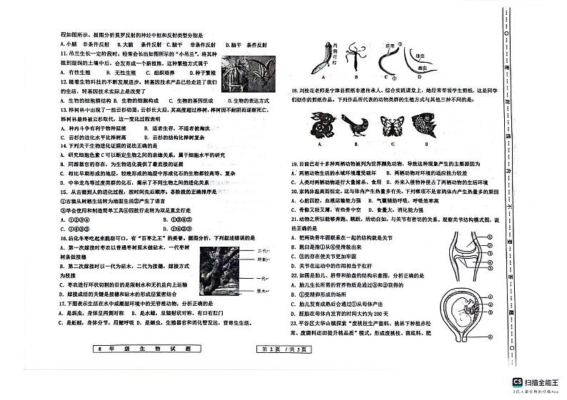 2024年山东省德州市宁津县中考二模生物试题02