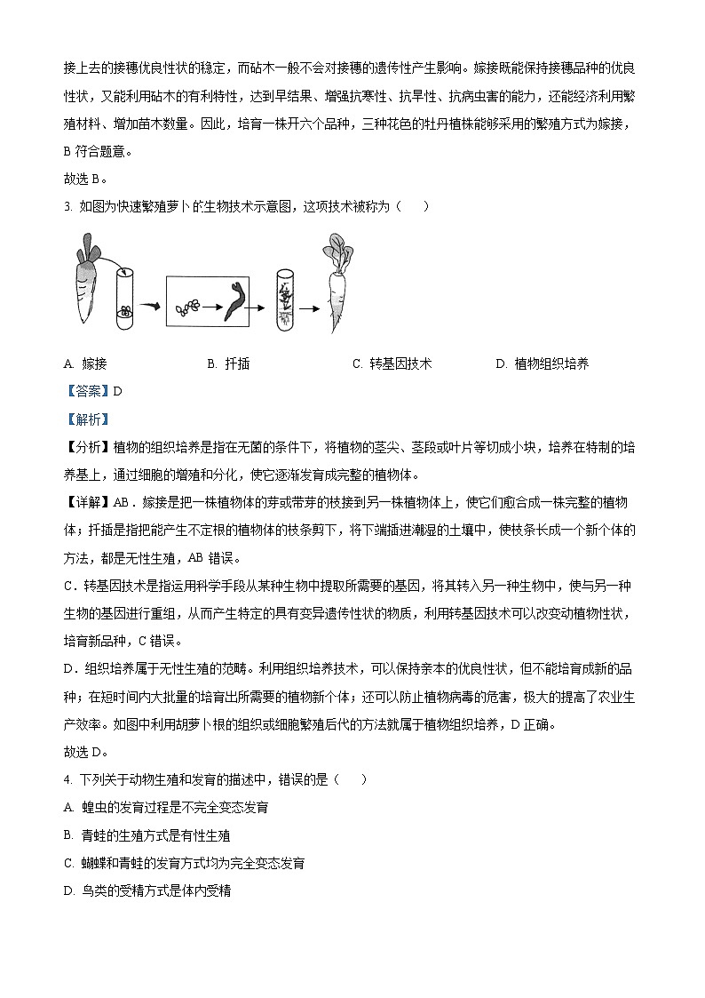 河南省信阳市潢川县2023-2024学年八年级下学期期中生物试题（原卷版+解析版）02
