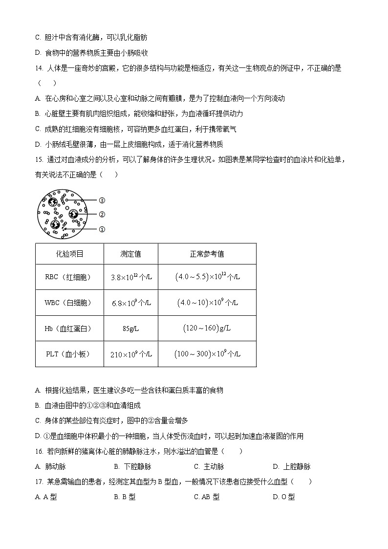 河南省洛阳市嵩县2023-2024学年七年级下学期期中生物试题（原卷版+解析版）03