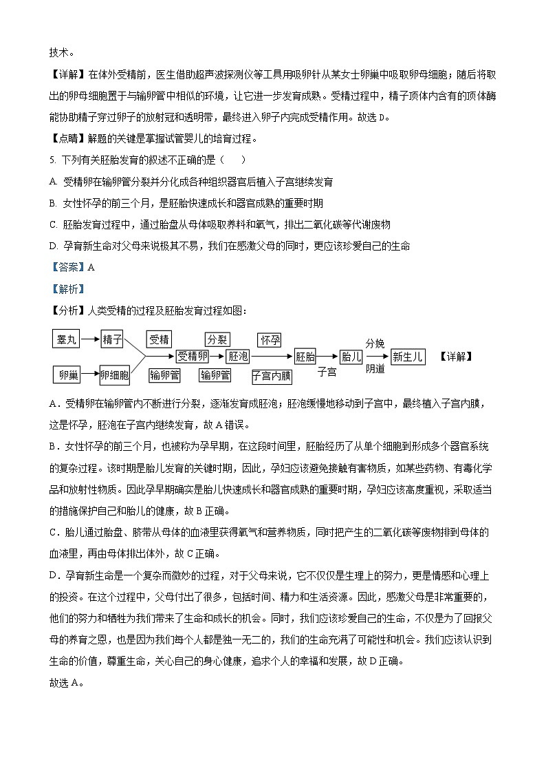 河南省洛阳市嵩县2023-2024学年七年级下学期期中生物试题（原卷版+解析版）03