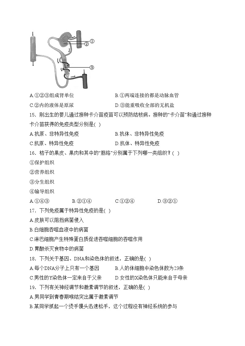 河南省商丘市2024年学业水平考试生物试卷(含答案)第3页