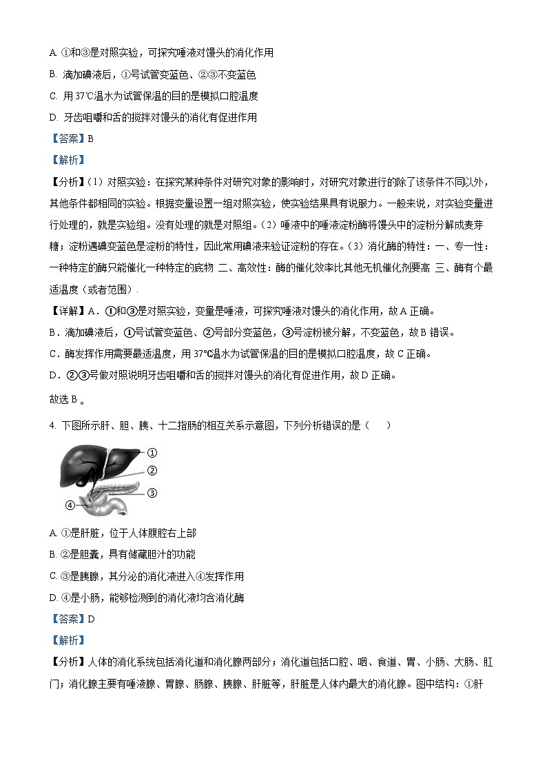 山东省潍坊安丘市2023-2024学年七年级下学期期中生物试题（原卷版+解析版）03