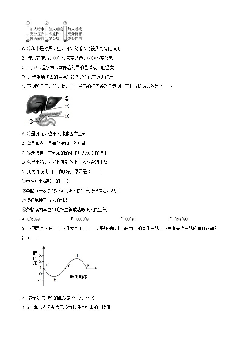 山东省潍坊安丘市2023-2024学年七年级下学期期中生物试题（原卷版+解析版）02