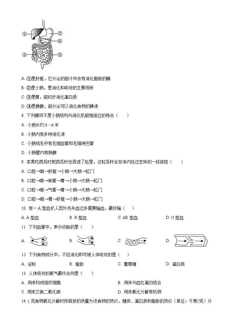 四川省广安市岳池县2023-2024学年七年级下学期期中生物试题（原卷版）第2页