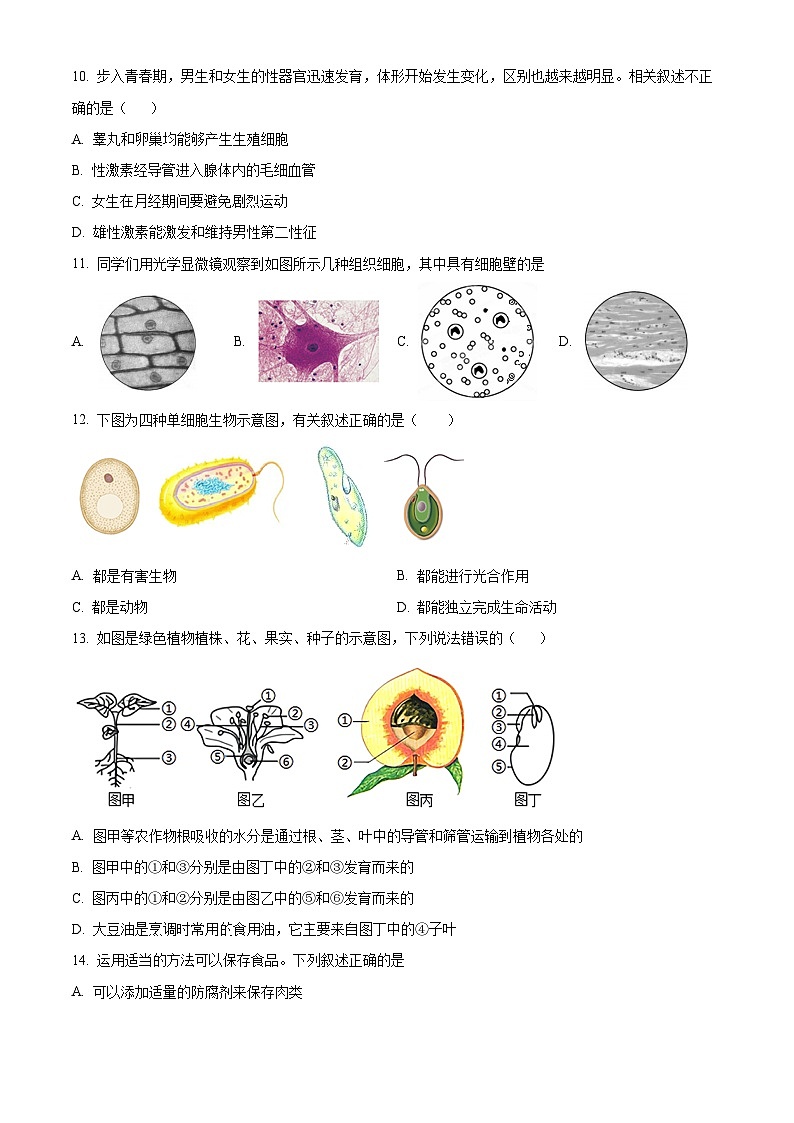 山东省烟台市蓬莱区（五四制）2023-2024学年八年级中考一模生物试题（原卷版+解析版）03