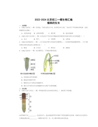 2022～2024北京初二一模生物试题分类汇编：植株的生长