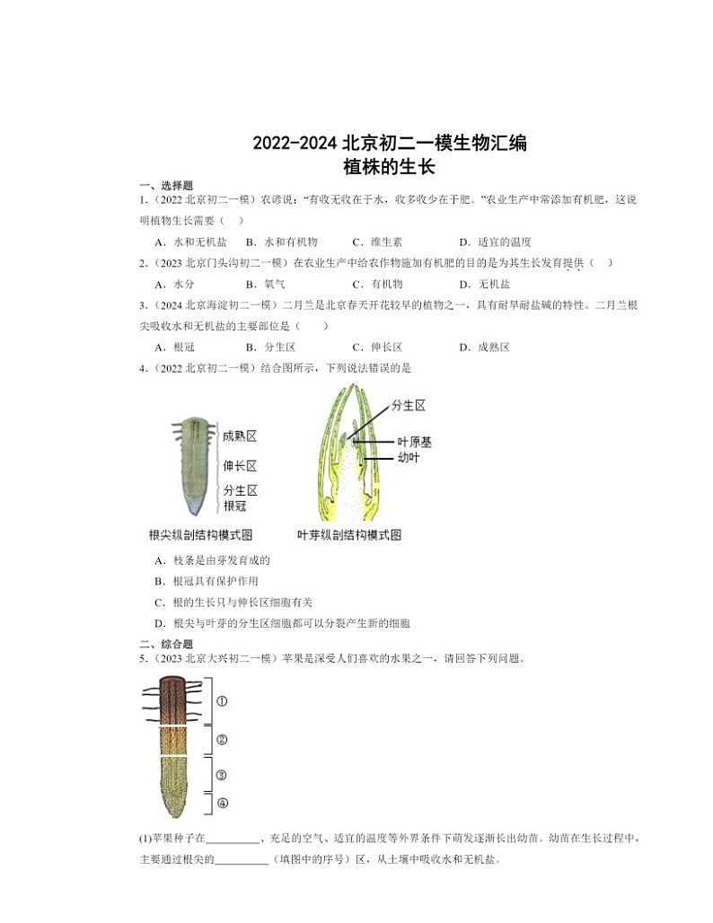 2022～2024北京初二一模生物试题分类汇编：植株的生长01