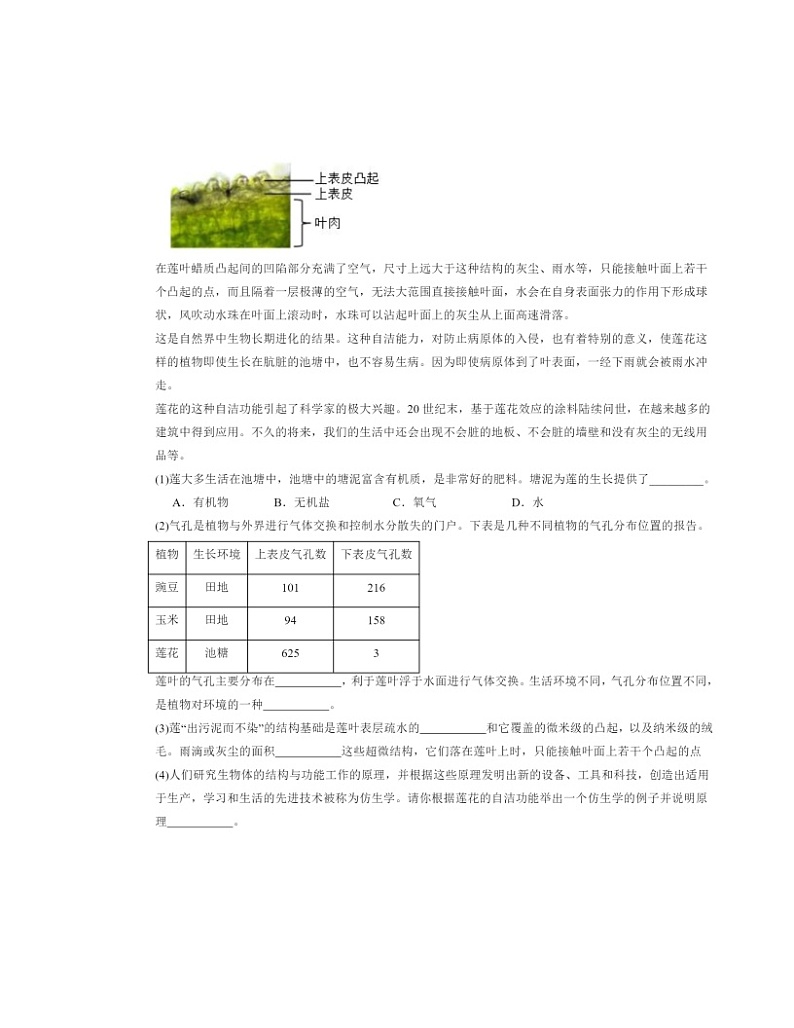 2022～2024北京初二一模生物试题分类汇编：植株的生长03