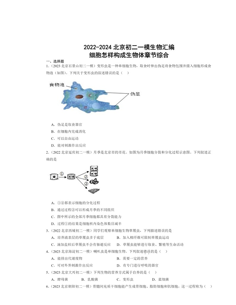 2022～2024北京初二一模生物试题分类汇编：细胞怎样构成生物体章节综合01
