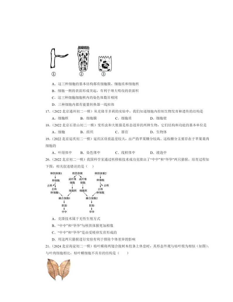 2022～2024北京初二一模生物试题分类汇编：细胞是生命活动的基本单位章节综合第3页