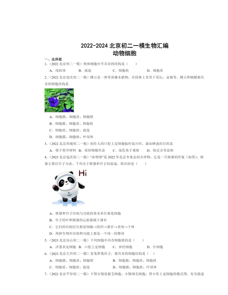 2022～2024北京初二一模生物试题分类汇编：动物细胞01