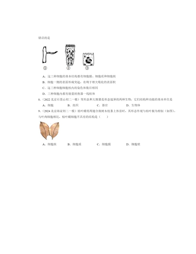 2022～2024北京初二一模生物试题分类汇编：动物细胞02